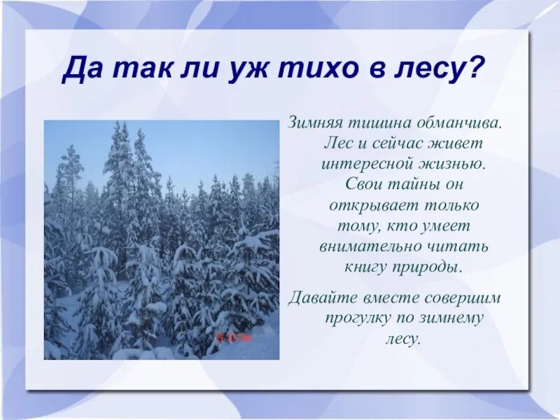 Песня тихо в лесу текст. Тихо в лесу. Почему в лесу зимой тихо. Обманчивый лес текст. Лес зимой текст.