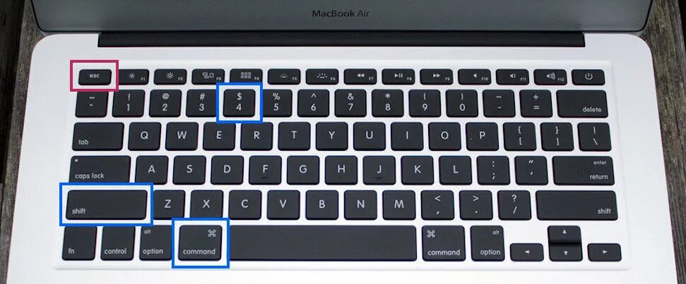 Макбук кнопка оптион. Клавиша option на Mac Air. Кнопка option на MACBOOK Air. Кнопка option на Mac Air клавиатуре. Option command c