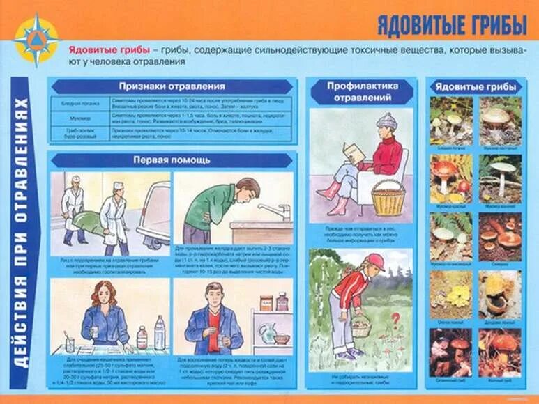 Профилактика и первая помощь при отравлениях обж. Памятка первая помощь при отравлении. плакат оказание первой помощи. отравление оказание первой помощи. памятка оказание первой помощи при отравлении.