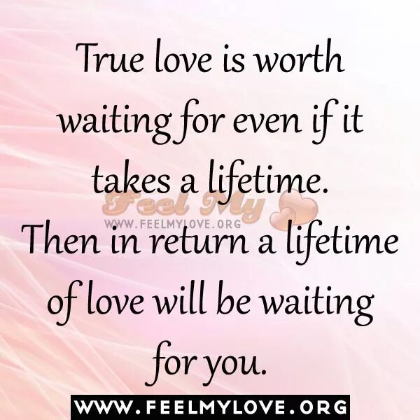 Love worth. Love worth. True love is. Стефен снайдер книга how to have. Book giving.