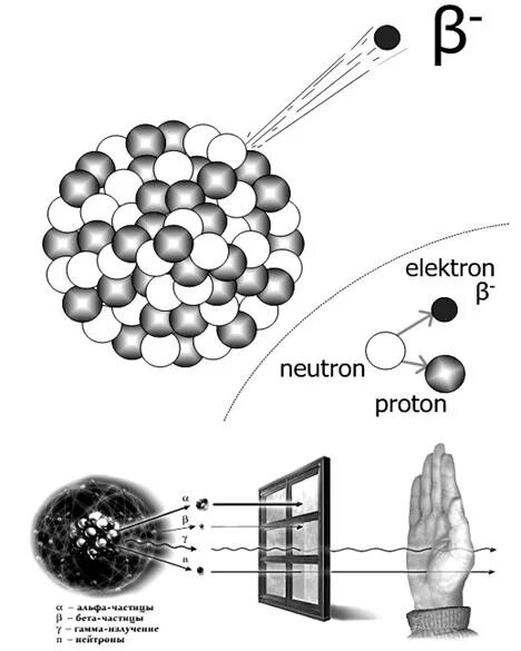 Радиоактивный распад ядер. Что представляет собой бета излучение. Распад ядра. Радиоактивные распады Протон.