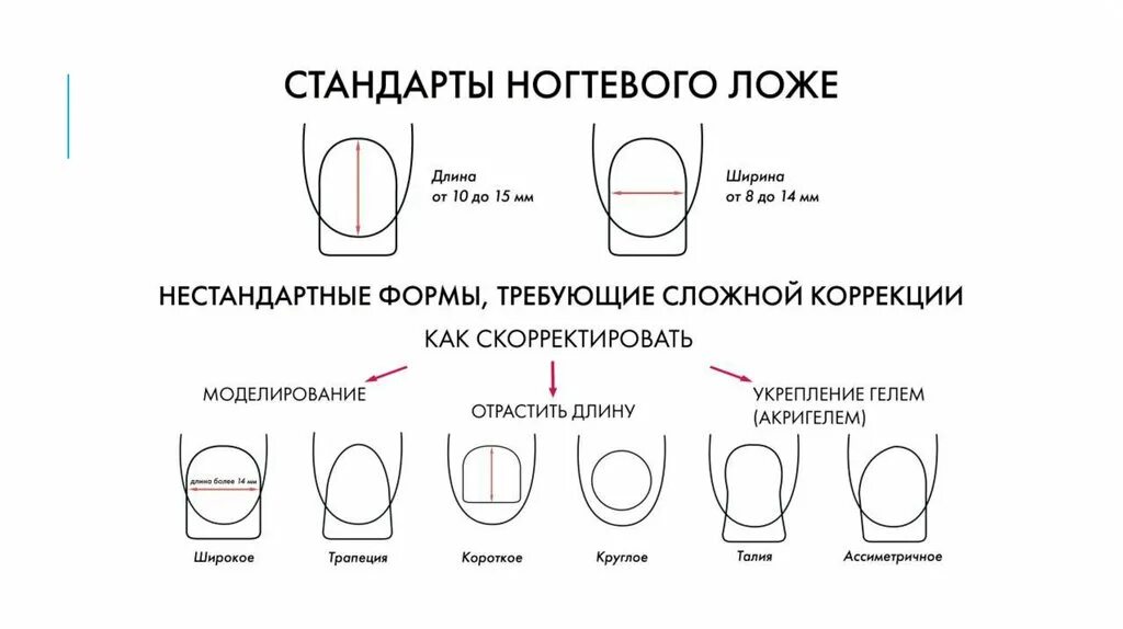 Правильная форма члена. Схема форма ногтей схемы опила. Схема опила формы ногтей овал. Схема опила формы ногтей квадрат. Ноготь сбоку схема.