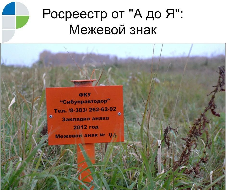 Знаки межевания. Знаки межевания. Межевые знаки на местности. Межевые знаки на местности. Знаки межевания.