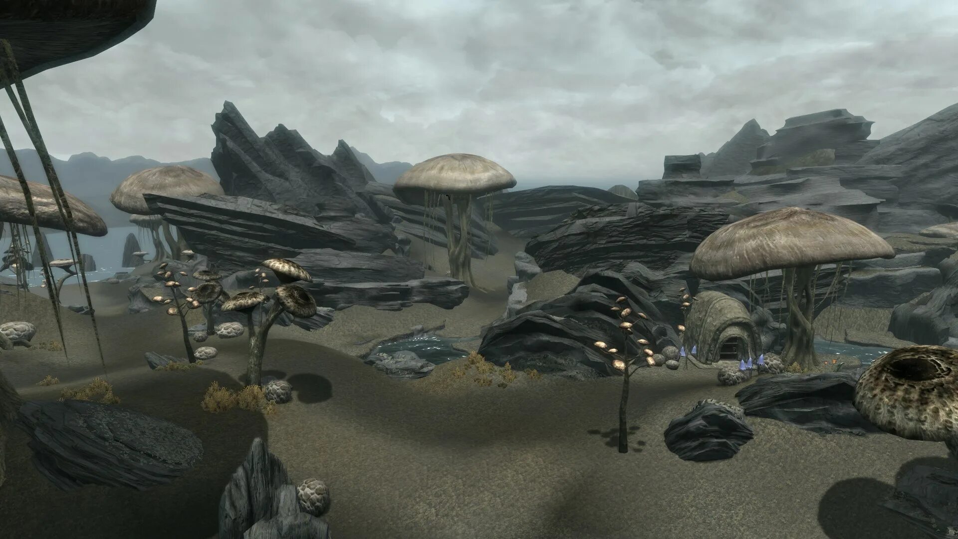 Skywind дата выхода. Скайвинд 2025. skywind 2025. рокси skywind. скайвинд капсулы.
