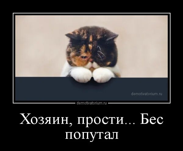 Попутал бес песня. Прикольные рисунки бес попутал. прости хозяин. прости бес попутал. прости хозяин бес попутал.
