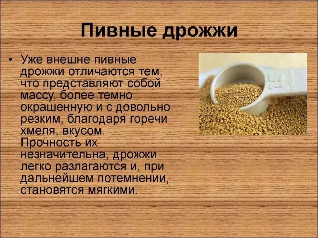 Каково значение дрожжей в жизни человека впр. Пивные дрожжи. Пивные дрожжи еда. Пивные дрожжи в чем содержатся. Остаточные пивные дрожжи.