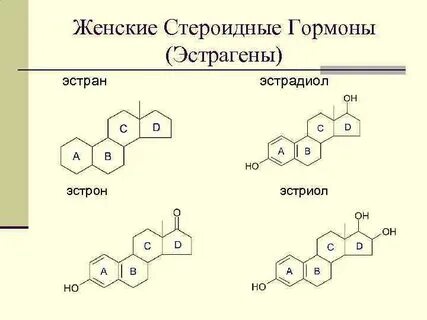 Фолликулин гормон