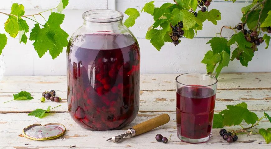 Компот из ирги. Чёрный смородиновый компот. Компот из красной смородины на зиму на 3 литровую. Сок из красной смородины на зиму. Сок смородиновый на зиму.