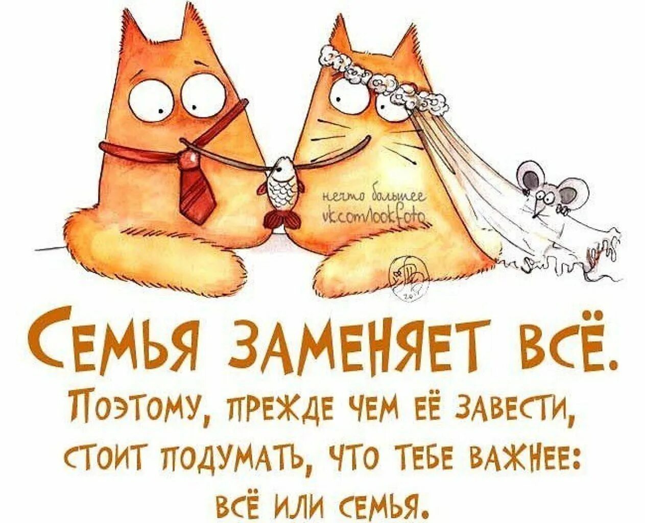 Про веселую семейку. Забавные высказывания. Семья это цитаты смешные. Прикольные высказывания про семью. Юмористические высказывания в картинках.