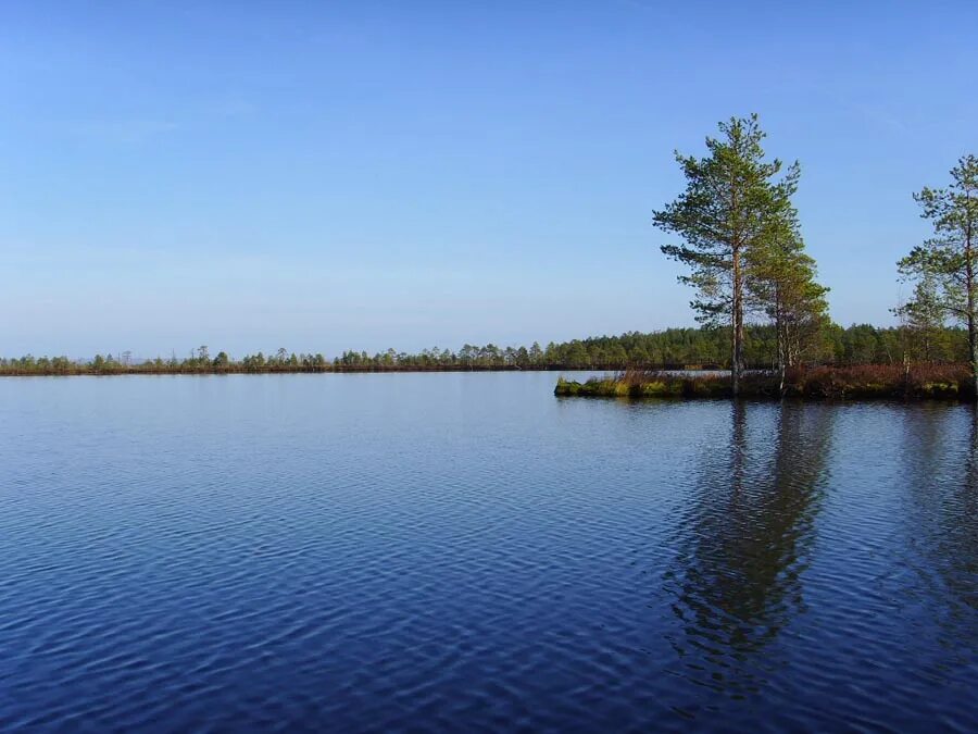 Дон озера фото