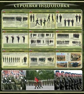 Виды команд в строю