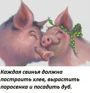 Вожане брали поросенка