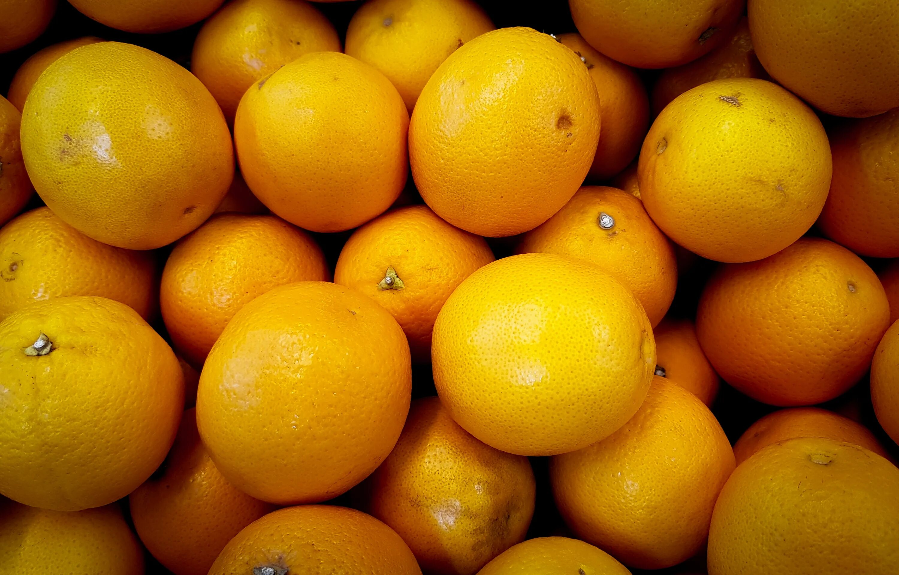 Апельсин Мюриз. Рангпур цитрус. Желтые мандарины. Оранжевый лимон фрукт.