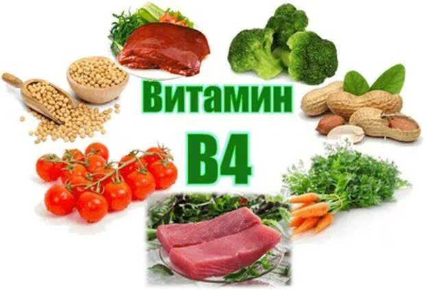 Витамин в4 продукты