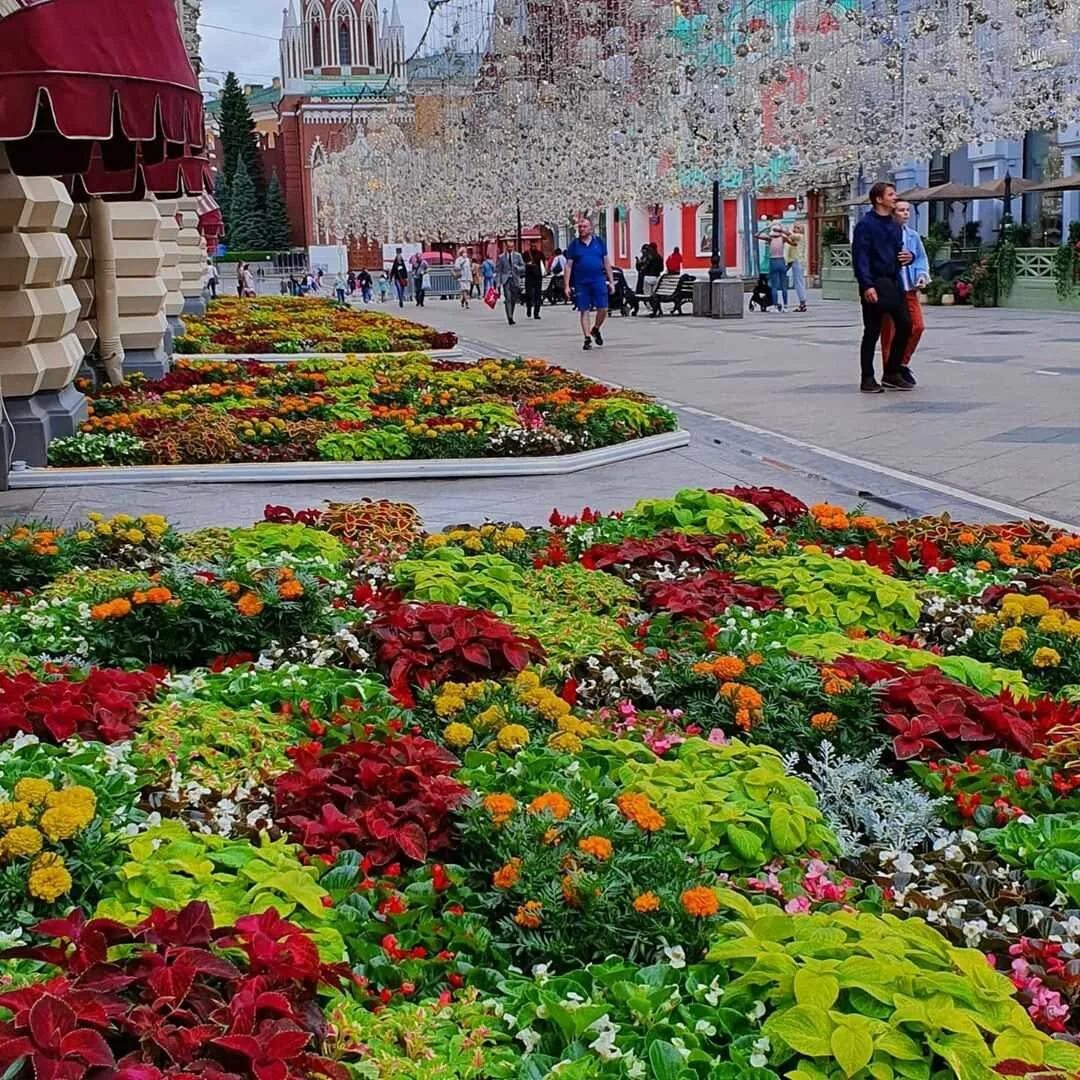 Цветы пл. ГУМ цветочный фестиваль. Красная площадь цветочный фестиваль. Манежная площадь цветочный джем. Фестиваль цветов в ГУМЕ 2021.