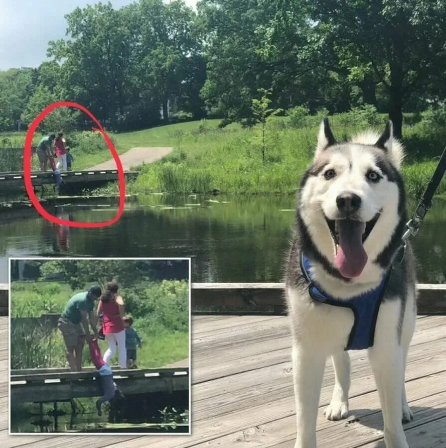 Приколы в реальной жизни. Самые удачные кадры. Фотоприколы из жизни. Забавные из реальной жизни. Забавные из реальной жизни.