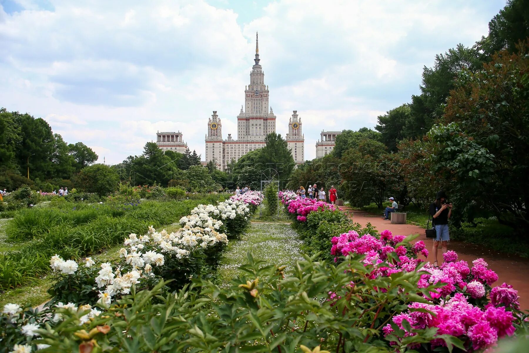 Цветущий сад, конный клуб и футбол в лесу: парки Москвы