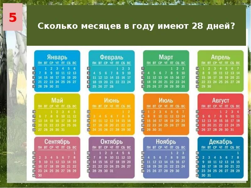 12 месяцев в днях