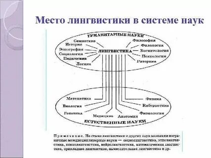 Слова связанные с лингвистикой