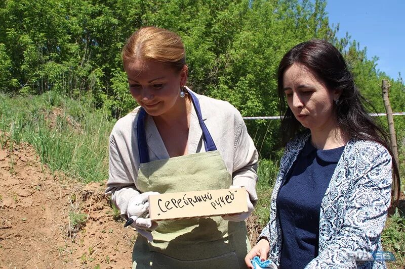 Реабилитация камнями. Барышево новосибирск реабилитационный центр. Сад камней. Реабилитация камнями. Реабилитация после перелома.