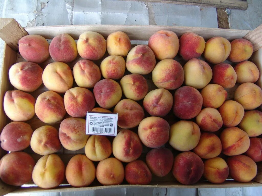 Сколько персиков в 1 кг. Персиковый сахар. Сколько персиков в 1 кг. Нектарин фото. Фрукты с низким.