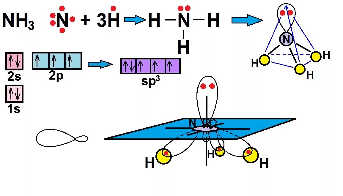 I nh3. Ncl3 гибридизация. Тип гибридизации аммиака. Nh3 гибридизация орбиталей. Тип гибридизации азота в аммиаке.