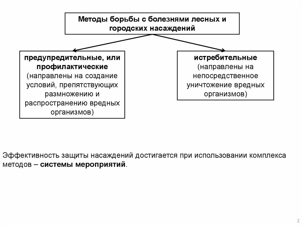 Методы борьбы с болезнями. Способы борьбы с болезнью. Методы борьбы. Профилактические методы борьбы с лесными. Какие меры применяют для борьбы с заболеваниями