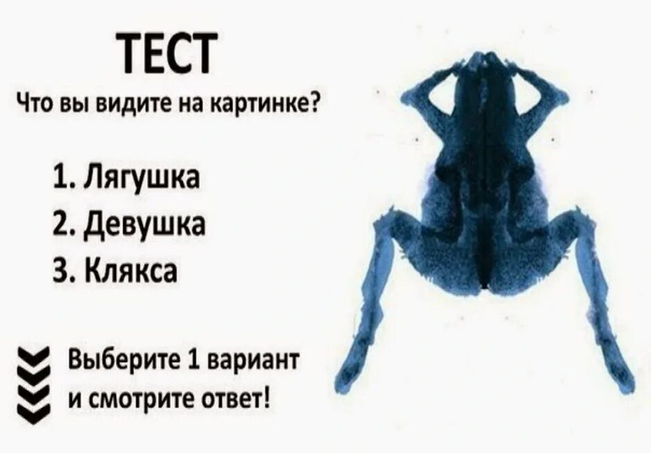 Каким человеком я тебя вижу. Психологические тесты. Тест картинка. Психологический тест рисунок. Психологический тест лягушка.