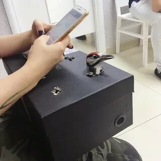 Неожиданная сторона