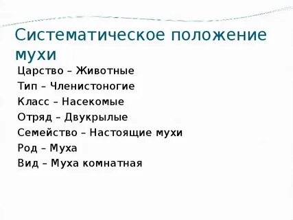 Систематическое положение мухи комнатной