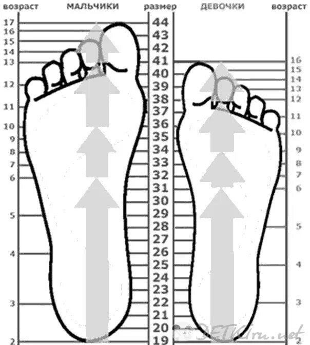 На сколько растет нога у ребенка. Размер ноги. Размер стопы. Размер ноги по ступне. Стопа в см.