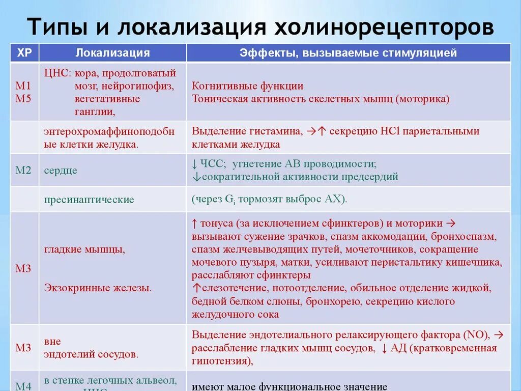 Эффекты холинорецепторов. Локализация м2 и м3 холинорецепторов. Классификация и локализация холинорецепторов. Таблица м-холинорецепторы н-холинорецепторы. Локализация м1 м2 м3 холинорецепторов.