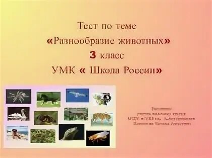 Тест по окружающему 3 класс разнообразие животных. Разнообразие животных 3 класс окружающий. животные 3 класс окружающий мир. тема разнообразие животных 3 класс. классы животных 3 класс окружающий мир.