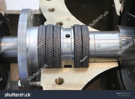 Ежедневно добавляются тысячи новых высококачественных фотографий. 