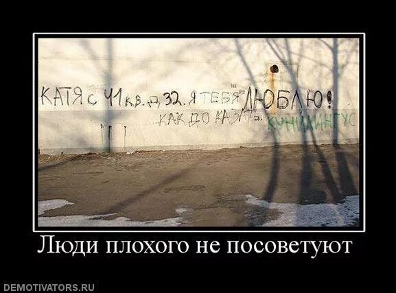 доктор что тут написано парацетамол. анекдот. смешные мемы про волков. невротик смешные картинки. анекдот.