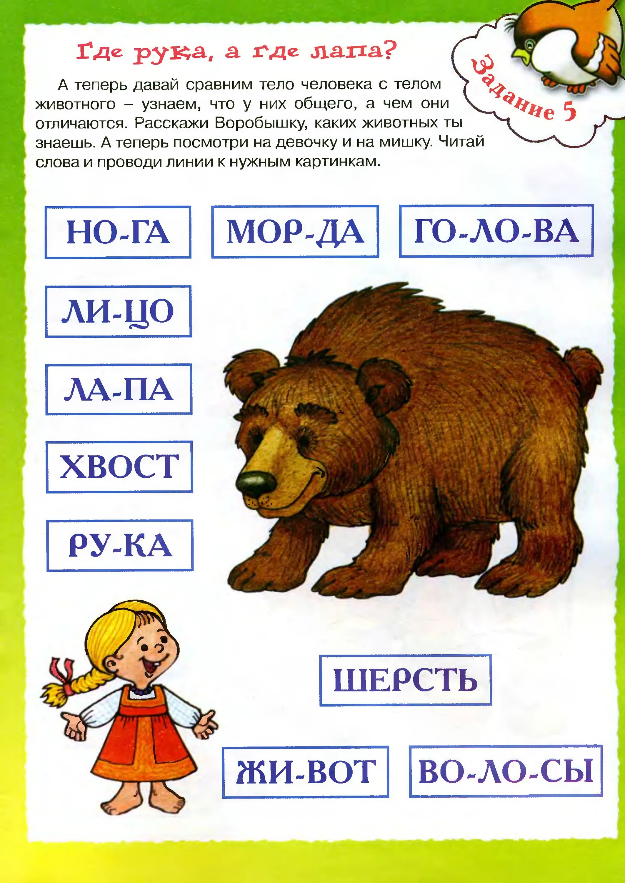 Чтение для дошкольников. Чтение слов по слогам для дошкольников. Чтение слов с картинками для дошкольников. Задания по чтению для дошкольников. Собака по слогам