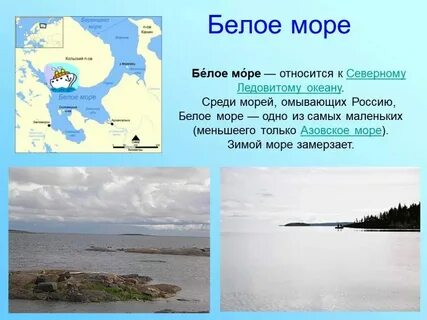 Различия черного и белого моря
