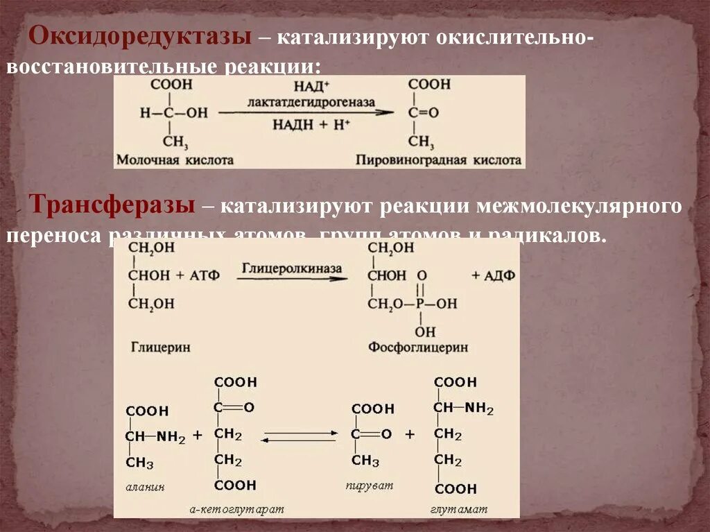 Окислительно восстановительные ферменты. Оксидоредуктазы. Оксидоредуктазы реакции. Оксидоредуктазы примеры реакций. Примеры оксидоредуктаз.