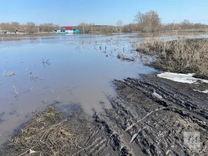 Паводок в татарстане