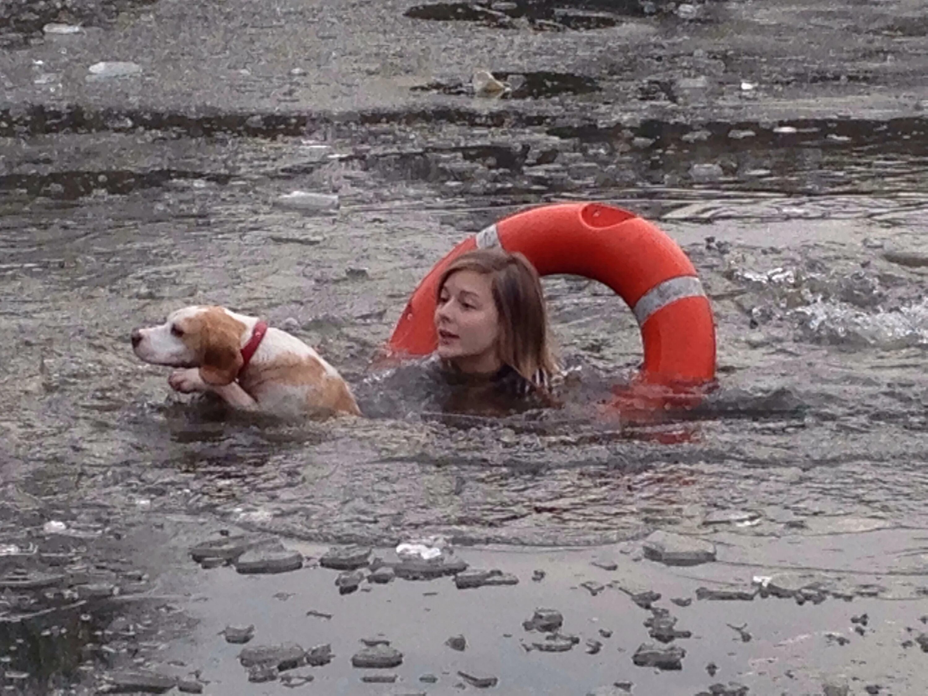 Спасутся люди видео. Спасение животных из воды. Собака тонет.