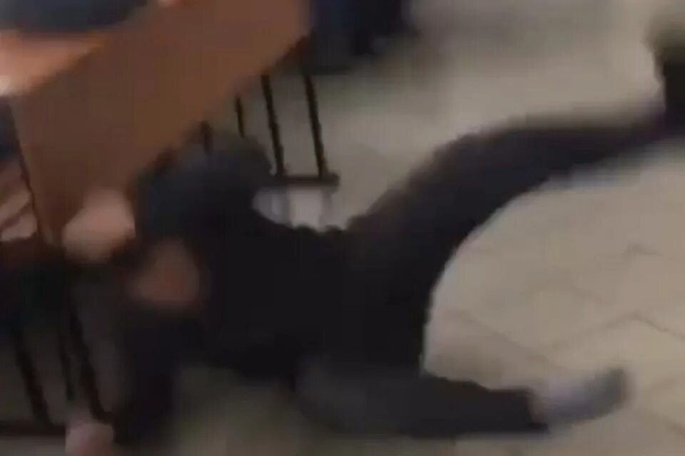 Драка в башкирии в кафе