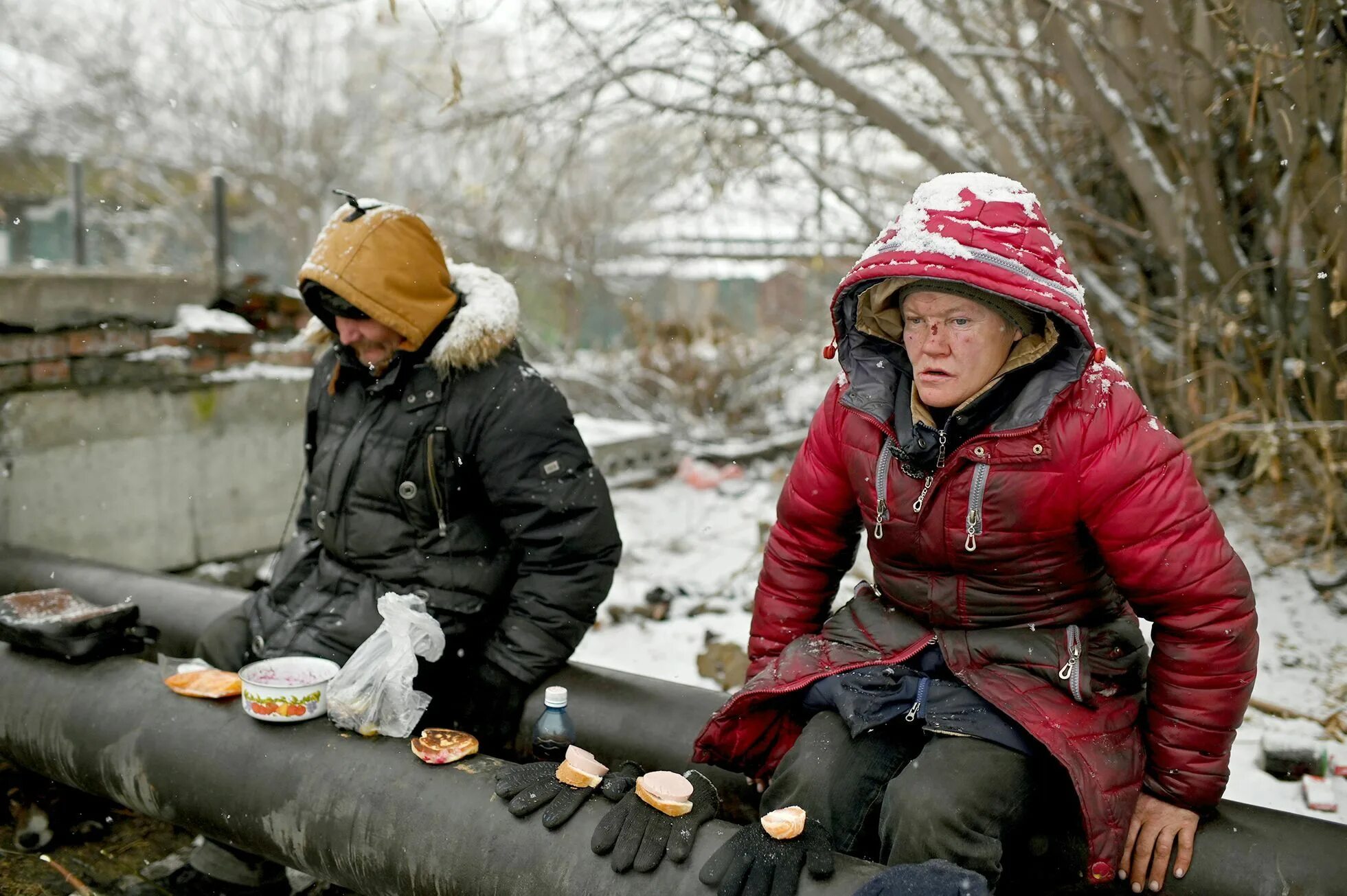 Бомж новости