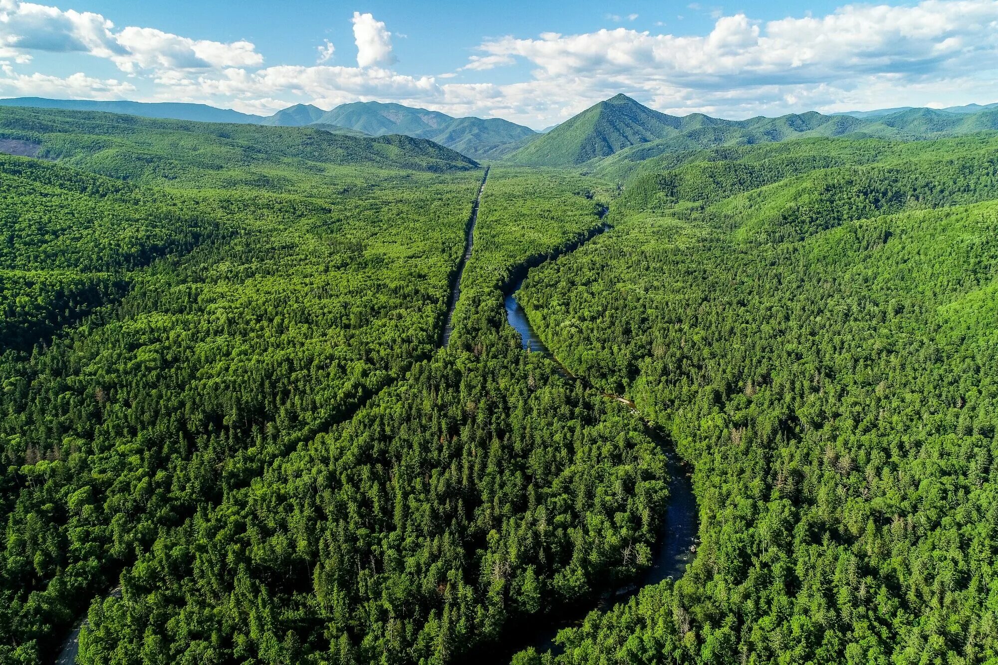 Biggest Forests. Фото разного размера леса. Forestry in Bulgaria photo. Russia is a of forests