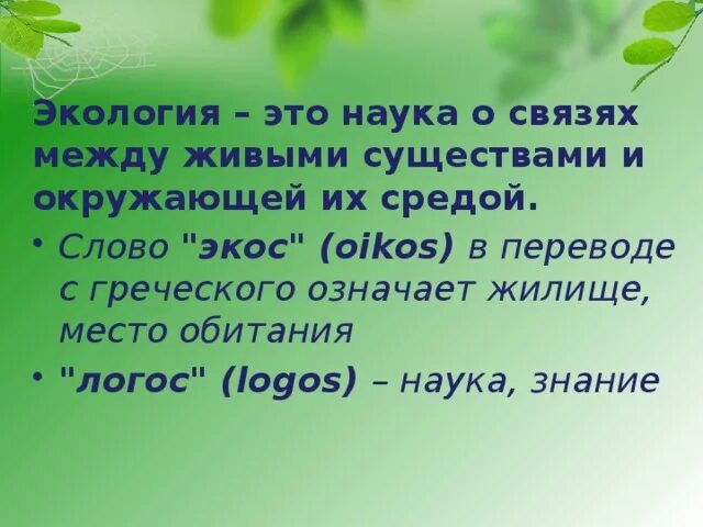 Цель слова среда. Мир глазами эколога. Мир глазами эколога 4 класс окружающий мир презентация. Эколог это 4 класс. Наука о связях между живыми существами и окружающей средой.