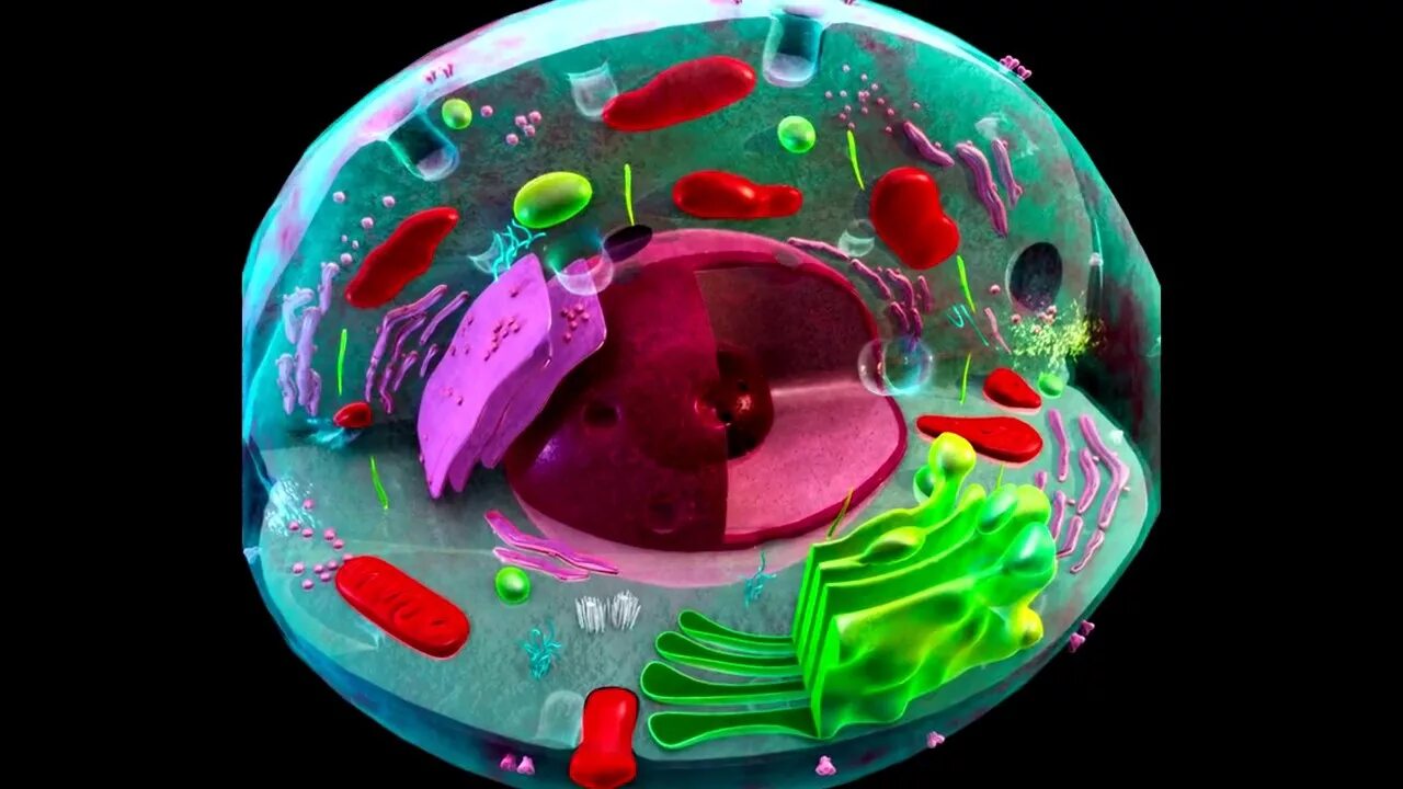 Клетка биология клеточная теория. Клетка живого организма. Красивое строение клетки. Строение живой клетки. Живая клетка покрыта