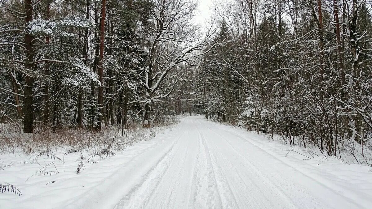 Характеристика зимы. Репортаж зимы. Незамерзающие реки в тюменской области. Репортаж зимы. Ралли карелия 2021 лумиваара.