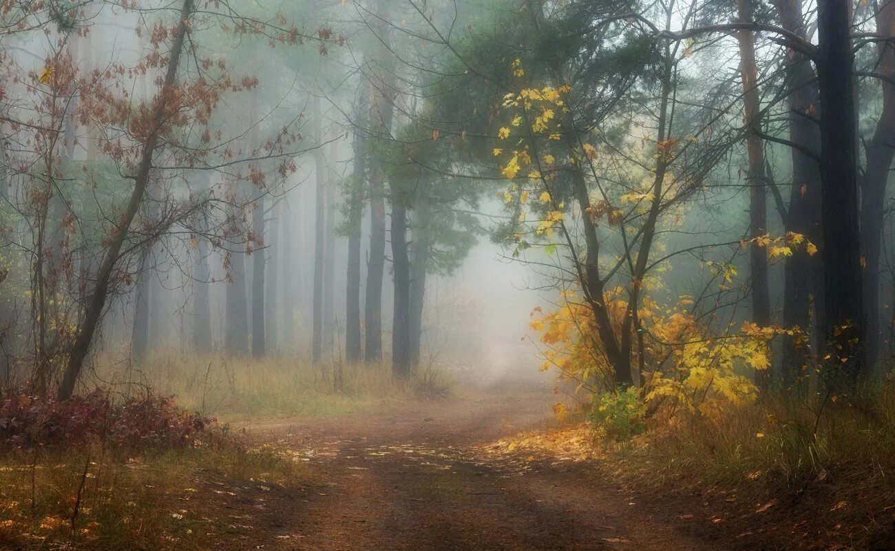 Размазанный пейзаж фото. Размытие реальность. Усадьба размытое фото. Размытая реальность