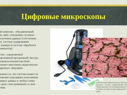 Микроскоп 5 класс биология строение и функции