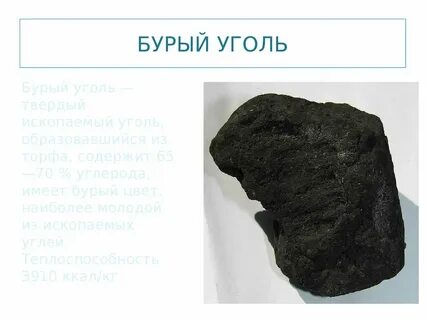 Какие два отличительных свойства характеризуют бурый уголь