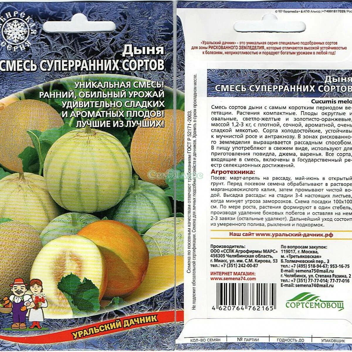 Сорта дынь описание
